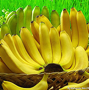 香蕉營養方案